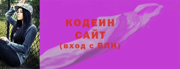 шишки Лабытнанги